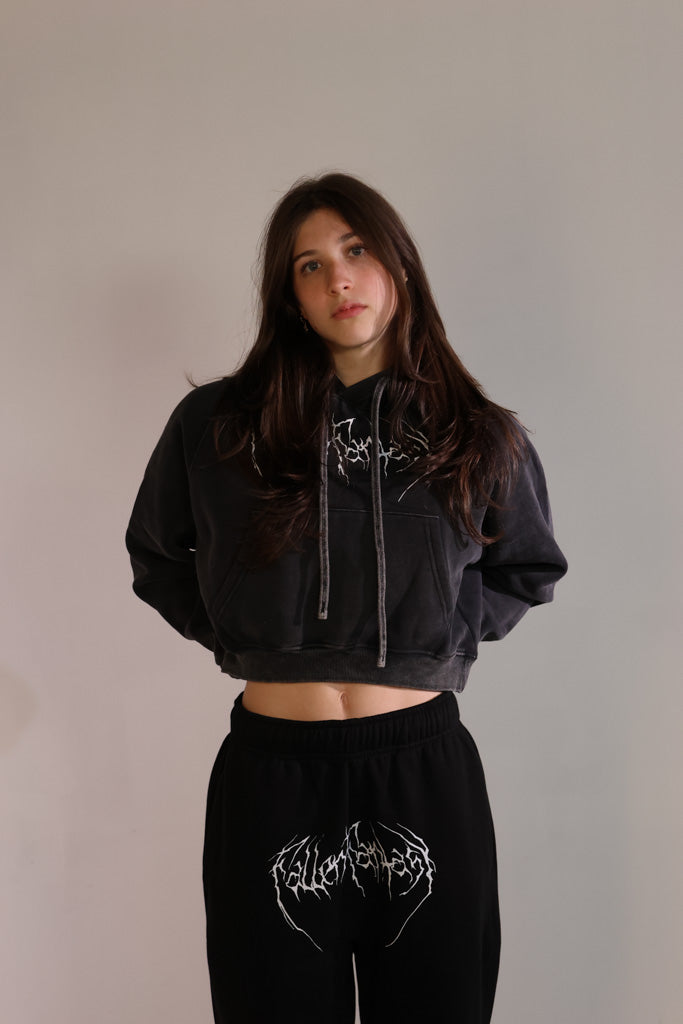 Women's Snow Washed Cropped Hoodie
