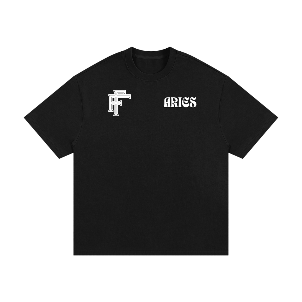 Aries Heavyweight Cotton T-Shirt